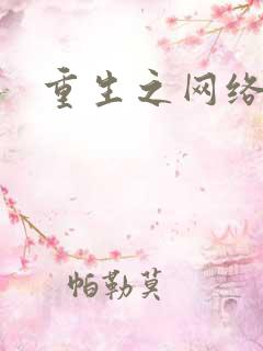 重生之网络大亨