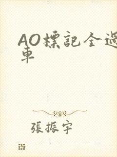 AO标记全过程车