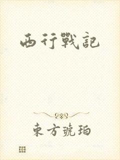 西行战记