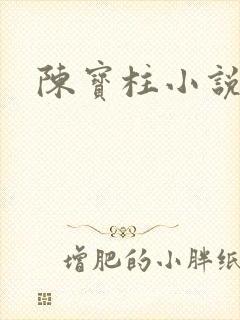 陈宝柱小说