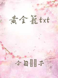 黄金笼txt