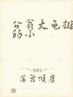 公翁大龟挺进我的小