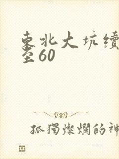 东北大坑续集1至60