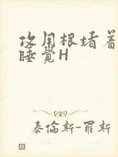 攻用根堵着小受睡觉H