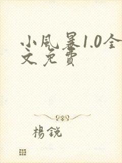 小风暴1.0全文免费