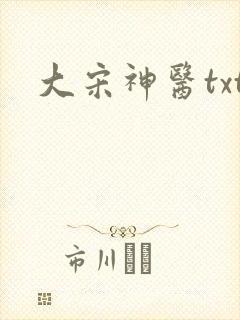 大宋神医txt