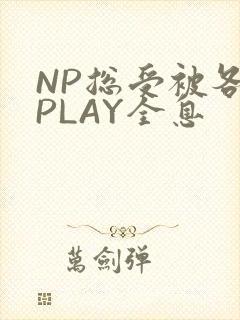 NP总受被各种PLAY全息