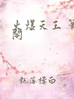 火爆天王 笔趣阁