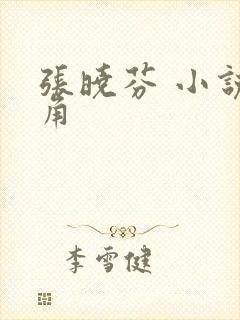 张晓芬 小说主角