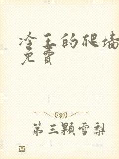 冷王的爬墙丑妃免费