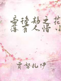 帝后劫之花开花落有人惜 小说