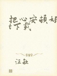 把心安顿好txt下载