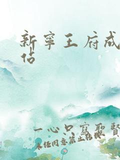 新宁王府成人网站