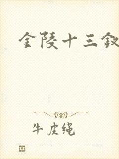 金陵十三钗原著