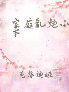 家庭乱炮小说全本