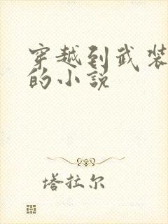 穿越到武装少女的小说