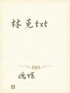 林克txt