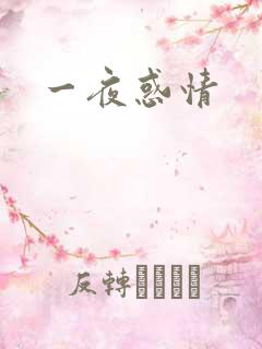 一夜惑情