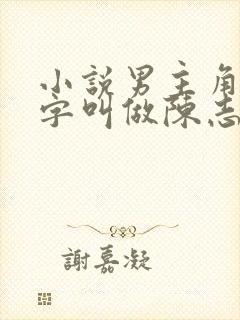 小说男主角的名字叫做陈志远