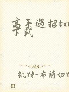 高手过招txt下载