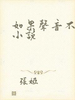 如果声音不记得小说