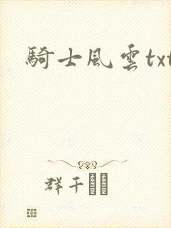 骑士风云txt