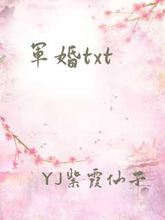 军婚txt