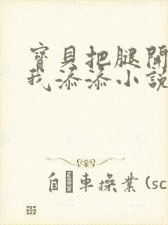 宝贝把腿开大让我添添小说