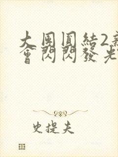 大团圆结2亲情会闪闪发光亲情会2