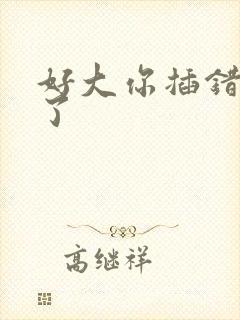 好大你插错地方了