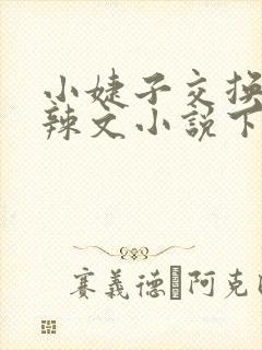 小婕子交换系列辣文小说下载