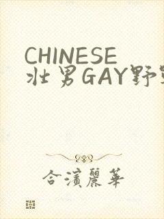 CHINESE壮男GAY野战强迫TUBE