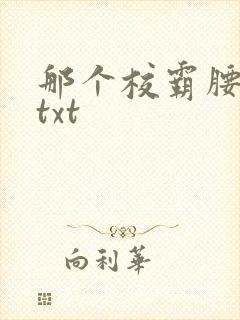 那个校霸腰好软txt