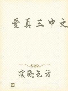 爱真三中文网