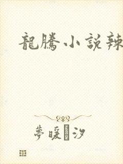 龙腾小说辣文网