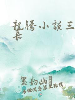 龙腾小说三宝局长