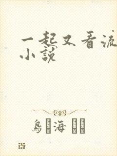 一起又看流星雨小说