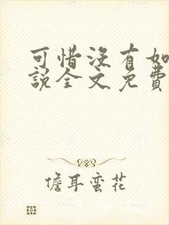 可惜没有如果小说全文免费阅读