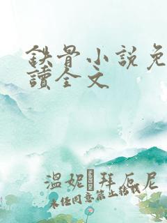 铁骨小说免费阅读全文
