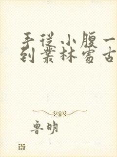 手从小腹一路开到丛林处古代