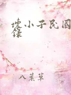 坏小子民国穿越录