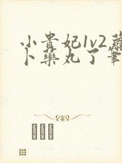 小贵妃1v2萝卜药丸了笔趣阁