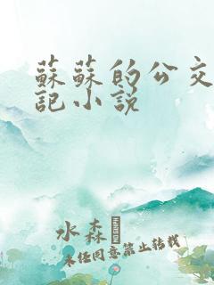 苏苏的公交车日记小说