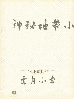 神秘地带小说