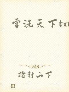 雪洗天下txt