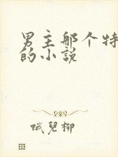 男主那个特别大的小说