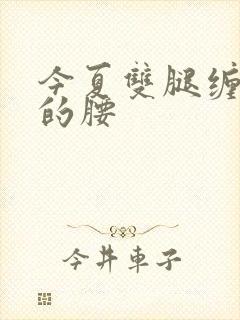 今夏双腿缠陆绎的腰