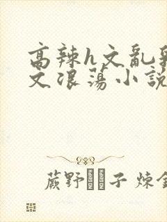 高辣h文乱乳h文浪荡小说苏卿