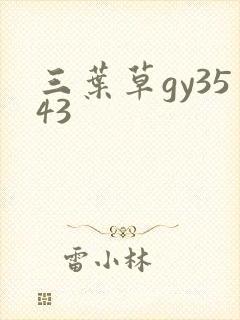 三叶草gy3543