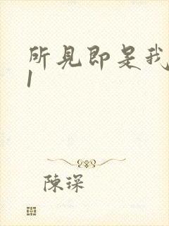 所见即是我1V1